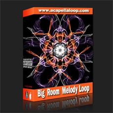 旋律素材/Big Room Melody Loop
